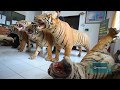 Bakar Ofset Harimau