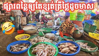 អនិច្ចា ផ្សារពន្លៃ ពេលក្សត់ត្រីតម្លៃដូចមាស 🐟😂 || Freshwater Fish Market KH [Ep. 828]