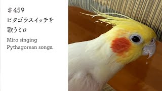 ♯459　ピタゴラスイッチを歌うミロ｜Miro singing Pythagorean songs.