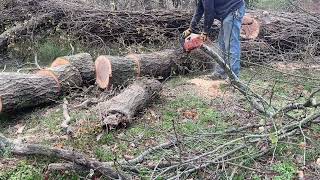 Husqvarna 61 Storm Clean Up