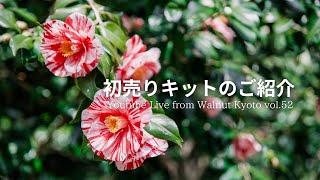 初売りキットのご紹介[Youtube Live from Walnut Kyoto vol.52]