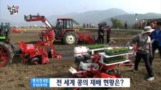 2016년은 '콩'의 해 [02/25] / YTN 웨더앤라이프