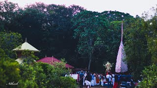 പ്രകൃതി രമണീയമായ തായക്കാവിൽ കാണാകാട്ടിലച്ചി തിരുവർകാട്ട് ഭഗവതി #theyyam #kannurtheyyam