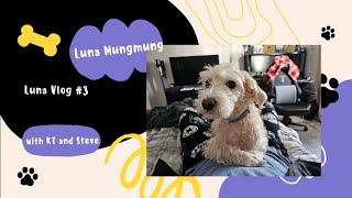 Luna Vlog #3 Adventure to Lake. 루나와 같이 호수 산책 하실래요?