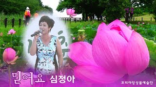 가수심정아/믿어요/2018안심연꽃마을축제 초대가수