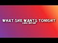 Download Luke Bryan What She Wants Tonight mp3