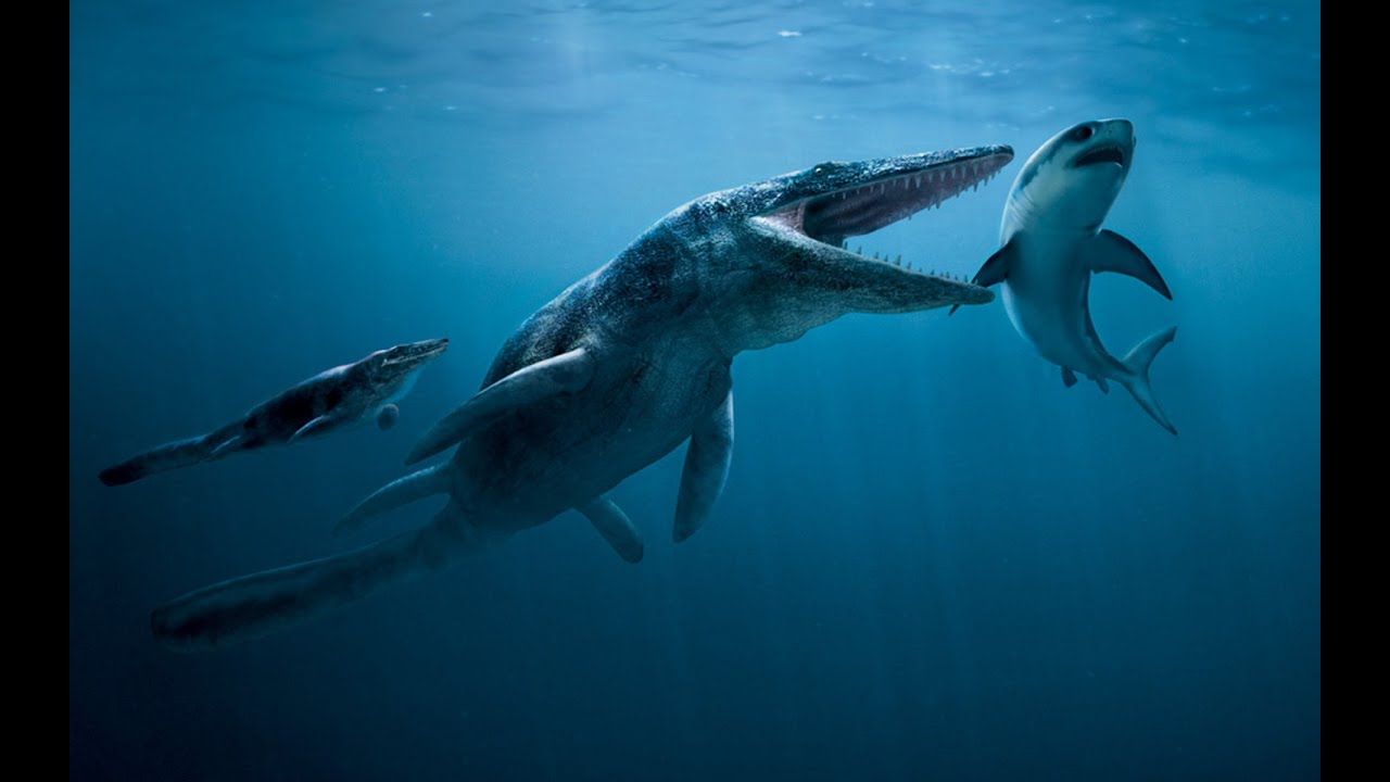 Top 5 Dinosaurs And Prehistoric Sea Creatures Top 5 Dinosaurs And Prehistoric Sea Creatures