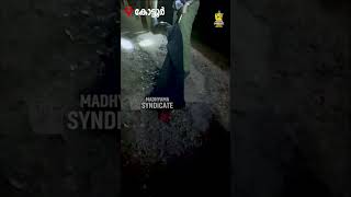 12ft long PYTHON caught by lady forest officer Kerala | SANKE CATCH REELS | Aggressive Cobra | SANKE