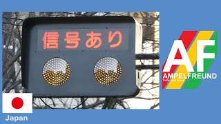 Sankyo Kobunshi LED Signal Ahead Signal (Build: Heisei 31 (2019))