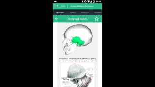 Human Skeleton Reference Guide Mobile App for Apple iOS and Google Play