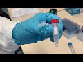 Biotinylation of capture reagent E-learning video