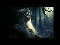 Daniel Heland - She is the Eyes of the Forest (EPIC FANTASY, ATMOSPHERIC, CINEMATIC)