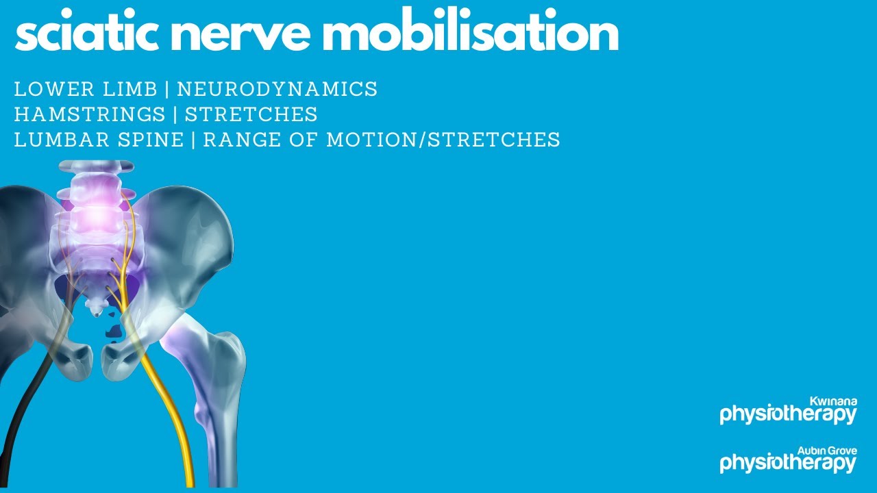 Sciatic Nerve Mobilisation Youtube