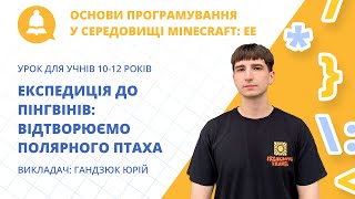 «Експедиція до пінгвінів: відтворюємо полярного птаха»: Minecraft: EE для дітей 10–12 років