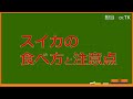 スイカの栄養がすごい！【内科医が解説】