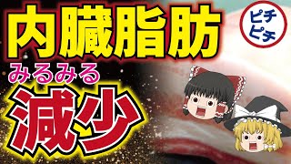 【ゆっくり解説】40代50代の内臓脂肪を落とす痩せる食事法とは！太る理由は●●だった！【うわさのゆっくり解説】