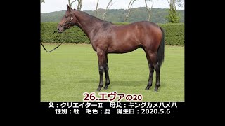 2021年度　26エヴァの20（父クリエイターⅡ）