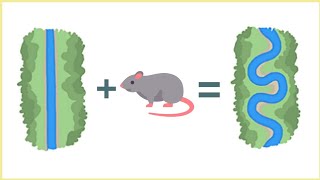 Reason Behind River's Curves | Why Do rivers curve? | Bonus tip