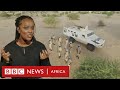 Minusma: Why did the UN mission in Mali fail?  - BBC Africa