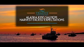 3MMI - Alaska King Salmon Harvest Exceed Expectations