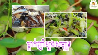 ម្កាក់ញាំខ្យងសមុទ្រ #foodie #yummy #fish #recipe #pork #delicious #khmerfoods