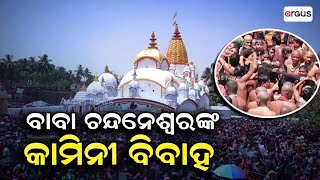 Chadaka Mela In Balasore: Lakhs Of Devotees Throng To Wittness 'Kamini Vivah'