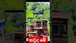 කවුද දන්නේ මේ මේ මෙයාගේ නම 😹