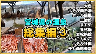 【宮城県の温泉♨️総集編③】2023-2024年に宿泊した宮城の温泉ホテル10宿をまとめてご紹介