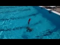 Lifeguarding Drill: Head First Surface Dive, Submerged Victim Tutorial