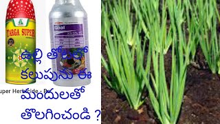 onion//ఉల్లి  తోటలో గడ్డి కలుపును ఈ మందులతో తొలగించండి?