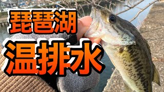 blackbass バス釣り　1月の温排水攻略(琵琶湖)