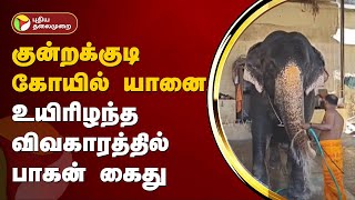 குன்றக்குடி கோயில் யானை உயிரிழந்த விவகாரத்தில் பாகன் கைது | Elephant | PTT