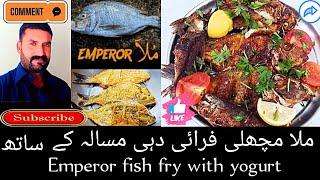 Mulla and banger fish with dahi masala(yogurt) Emperor and mecerel fish hot recipe @ZeeshanRcooking