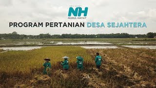 PEMBERDAYAAN ~ Program Pertanian Desa Sejahtera