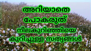 ഇനിയും അറിയാതെ പോവരുത് നീലകുറിഞ്ഞിയെ കുറിച്ചുള്ള സത്യാവസ്ഥ |The Truth About Neelakurinji