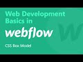 CSS Box Model | Web Development Basics in #Webflow