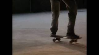 Rodney Mullen - Gleaming the Cube