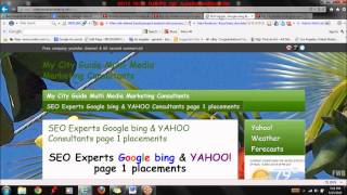 Website Ranking on Google, Bing and Yahoo seo expert solution with reviews