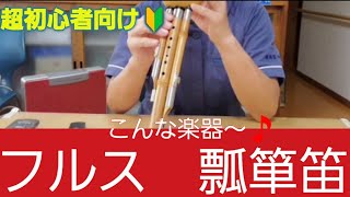 超初心者向け🔰【フルス】【ひょうたん笛】ってこんな楽器～🎵