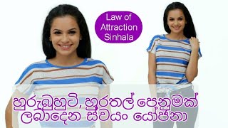 හුරුබුහුටි,  ලස්සන, හුරතල් පෙනුමක් ලබාදෙන ආකර්ෂණ නීතිය ! Law of Attraction ! #sinhala #sri lanka