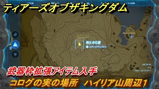 ティアキン　コログの実の場所　ハイリア山周辺１　武器枠拡張アイテム入手　＃１１６７　【ゼルダの伝説ティアーズオブザキングダム】