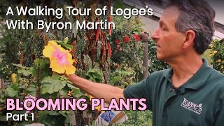 A Walking Tour of Logee's Greenhouses with Byron Martin - Blooming Plants - May, 2020 - Part 1 of 2