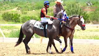 FUTURITY HIT 2  300 YDS  ZUAZUA