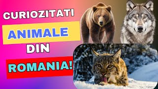 Curiozitati fascinante despre animalele din Romania