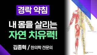 경락 약침으로 내 몸을 살리는 자연 치유력을 회복하세요 [ 부산MBC 메디컬다큐365 ] 230904