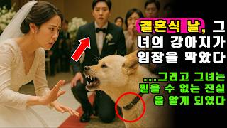 결혼식 날, 그녀의 강아지가 입장을 막았다… 그리고 그녀는 믿을 수 없는 진실을 알게 되었다ㅣ노년의 지혜ㅣ인생조언ㅣ오디오북ㅣ 삶의 지혜