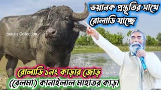 রোলাডি আসরে ১নং কাড়ার জোড় হয়ে গেল। কানাইলাল মাহাত বেলমাHemonto MahatoVsKanailal Mahato Kara Lorai