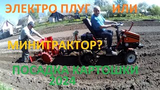 Посадка картофеля 2024