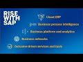 What is RISE with SAP?