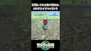 【ティアキン】料理してたら急に現れたコログ【ゼルダの伝説 ティアーズ オブ ザ キングダム】